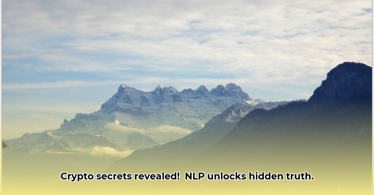 de-puntjes-op-de-i-crypto